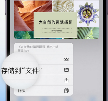 揭东apple维修中心分享iPhone文件应用中存储和找到下载文件