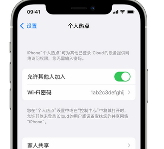 揭东apple服务站点分享iPhone上个人热点丢失了怎么办