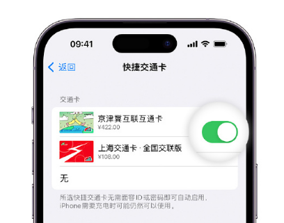 揭东apple维修点分享iPhone上更换Apple Pay快捷交通卡手绘卡面 