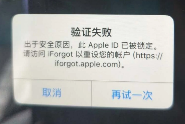 揭东iPhone维修分享iPhone上正常登录或使用AppleID怎么办 