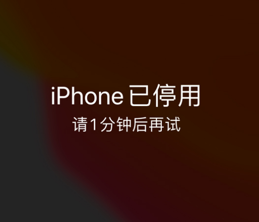 揭东苹果手机维修分享:iPhone 显示“不可用”或“已停用”怎么办？还能保留数据吗？ 