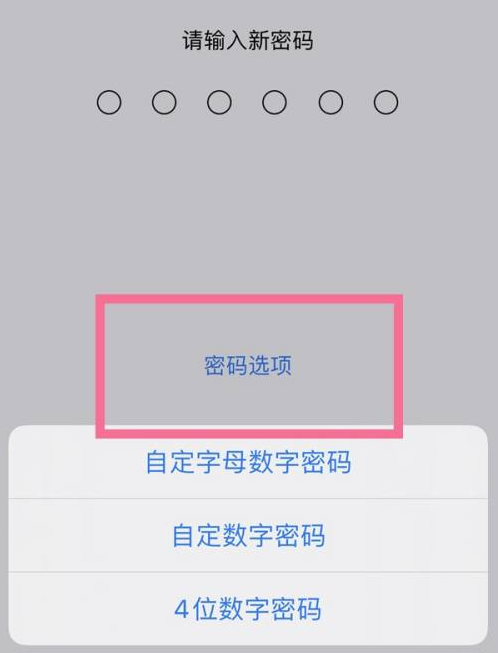 揭东苹果14维修分享iPhone 14plus设置密码的方法 