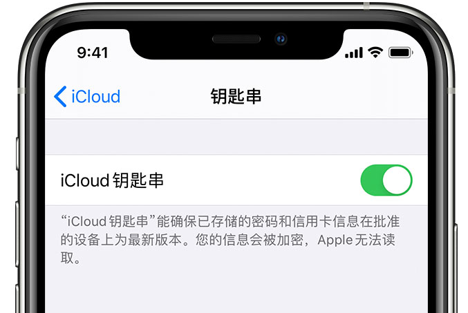 揭东苹果手机维修分享在 iPhone 上开启 iCloud 钥匙串之后会储存哪些信息 