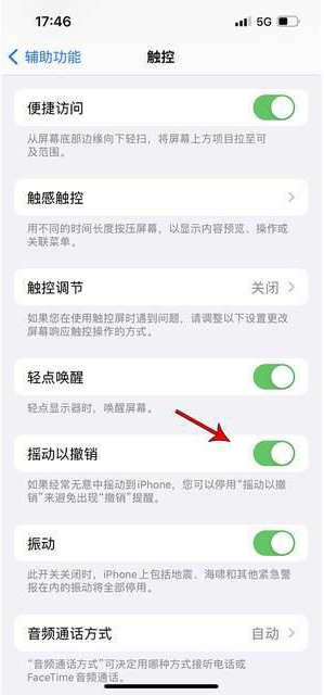 揭东苹果手机维修分享iPhone手机如何设置摇一摇删除文字 