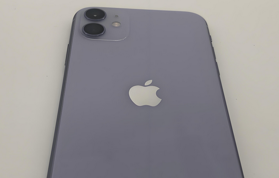 揭东苹果11系统维修分享iPhone11手机系统崩溃无法开机如何解决