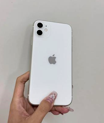 揭东苹果维修点分享iPhone 11黑屏特殊场景解析 